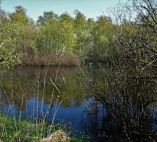 Impressionen aus der Gellener Torfmöörte