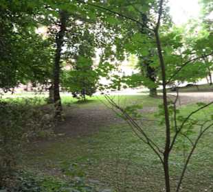 Schlosspark St. Emmeram