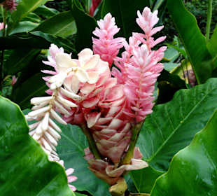 Impressionen aus den Jardins de Valombreuse