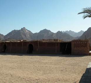 Wilde Bergwelt in der Wüste