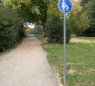 Baumkronenweg Waldkirch