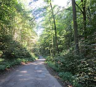  Waldgaststätte Kaltenbrunner Tal