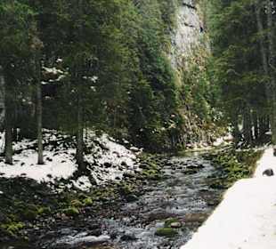 Zakopane - Dolina Kościeliska