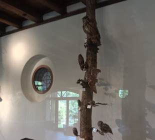 Natur- und Jagdmuseum