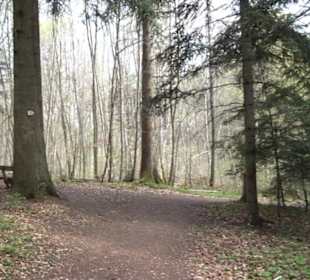 Vitus Mayer Waldlehrpfad