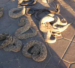 Gauglerplatz Schlangenbeschwörer