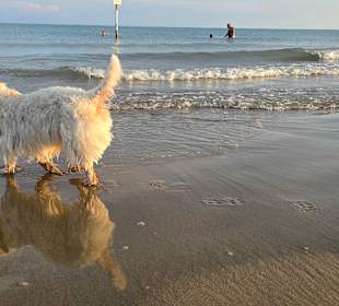 Da fühle ich mich wohl