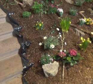 Evangelische Stadtkirche Offenburg