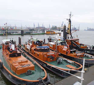 Kleine Schlepper - Idylle vor der Hafencity 