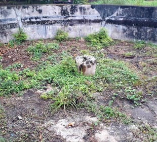 Maruhubi-Palast Ruinen