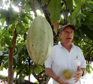 Frederico beim erklären von Früchten