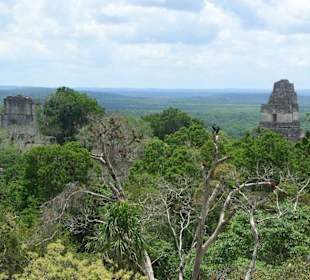 Aussicht von einer Pyramide