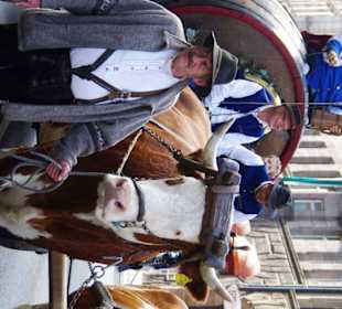 Bierführerverein Fürth