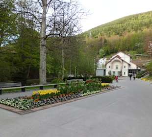 Im Kurpark Bad Wildbad