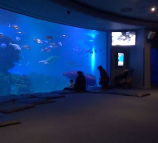 Palma Aquarium