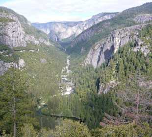 Yosemite N.P.