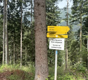 Wandern Stilluptal Mayrhofen