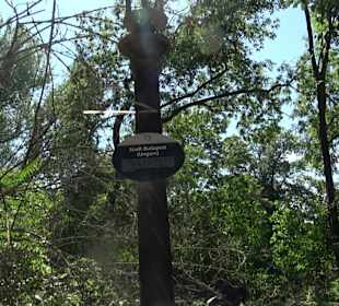 Gaslaternen-Freilichtmuseum