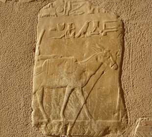 Tempel der Hatschepsut