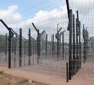 Das Kokosnuss Gefängnis