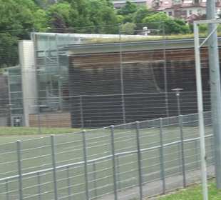 Sportplatz Empfingen