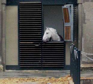 Spanische Hofreitschule