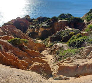 Seven Hanging Valleys Trail 