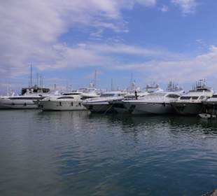 Eine schöner als die andere