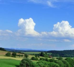 Naturschutzgebiet Forchenkopf Wittlensweiler