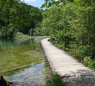 Wanderweg durch den Nationalpark
