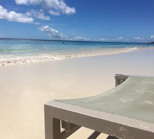 Playa Kalki / Alice in Wonderland