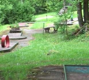 Minigolf Hallwangen