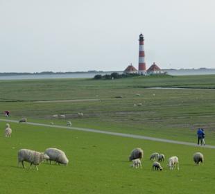 Deich hinter dem INFO-Hus und Leuchtturm