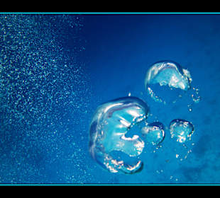 Delphintour 02.05.2012