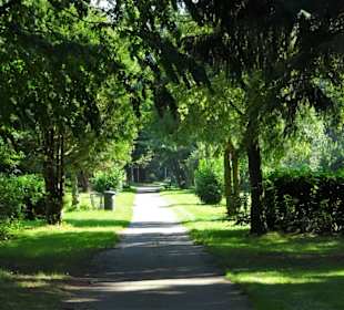 Rundgang über den Friedhof Friedenshügel