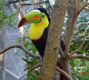 Im Hafenpark Cartagena