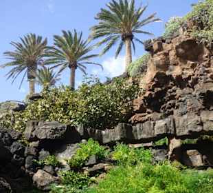 Jameos del Agua