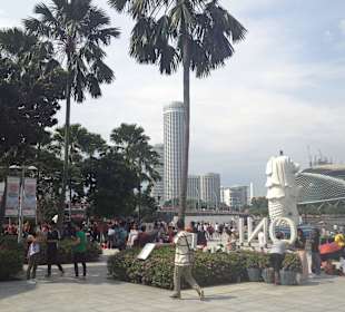 Picture from Free Singapore Tour out from airport