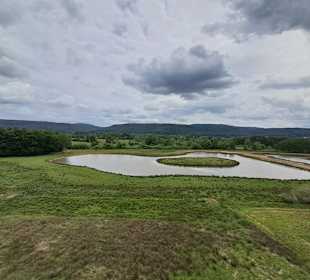 Kranichwoog Hütschenhausen in Hütschenhausen