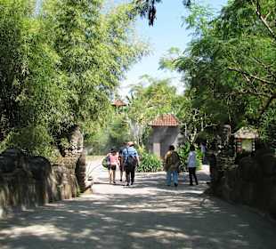 В зоопарке Бали