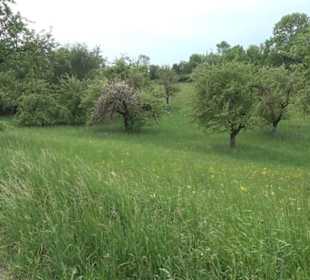 Naturinfopfad Weggental