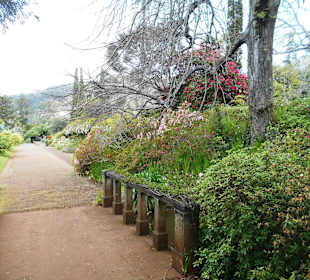 Palheiro Gardens