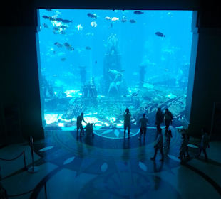Das Aquariun