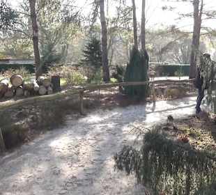 Botanischer Garten - Rombergpark