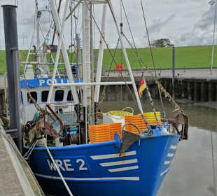 Impressionen aus dem Kutterhafen Wremen