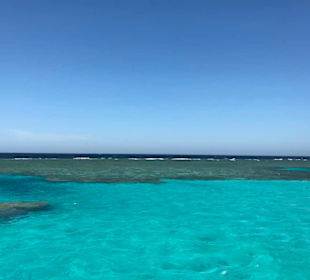 Sataya