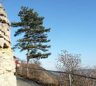 Wanderweg zum Jenzig, links zu sehen die Kalkfelse