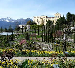 Botanischer Garten und Schloss Trautmannsdorf