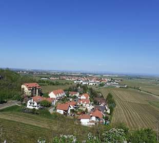 Burg Neuleiningen 
