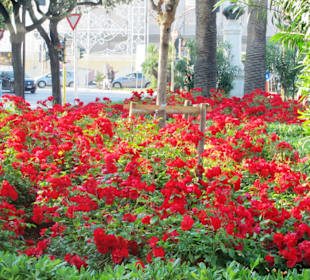 Strandpromenade Lungomare Augusto Imperatore
